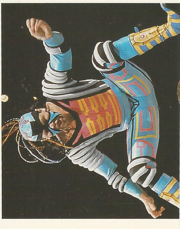 WWF Merlin Stickers 1992 Max Moon #22