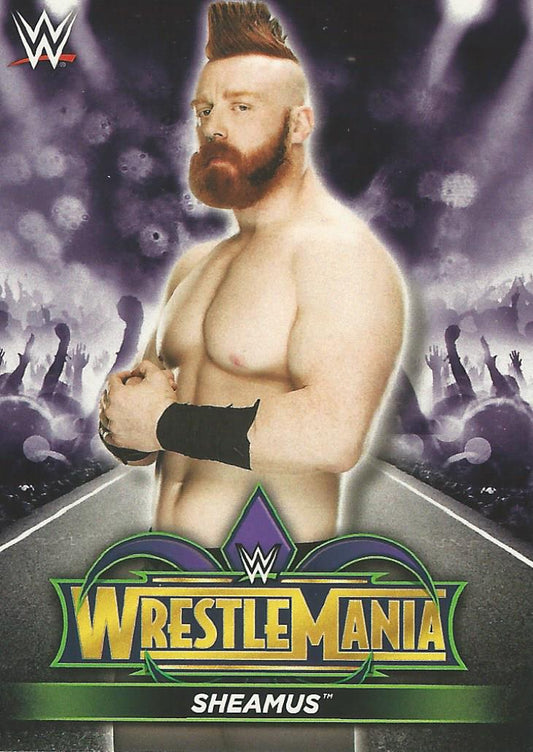 WWE Topps Road to Wrestlemania 2018 Sheamus R22 trading card PW Catalog