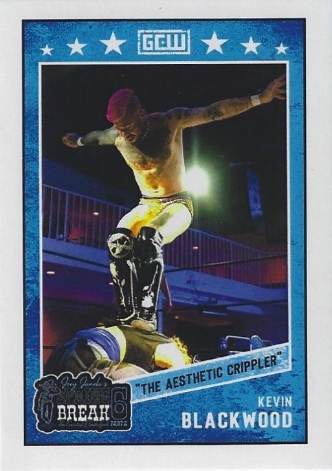 “The Aesthetic Crippler” Kevin Blackwood trading card PW Catalog