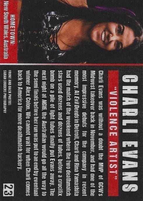 “Violence Artist” Charli Evans