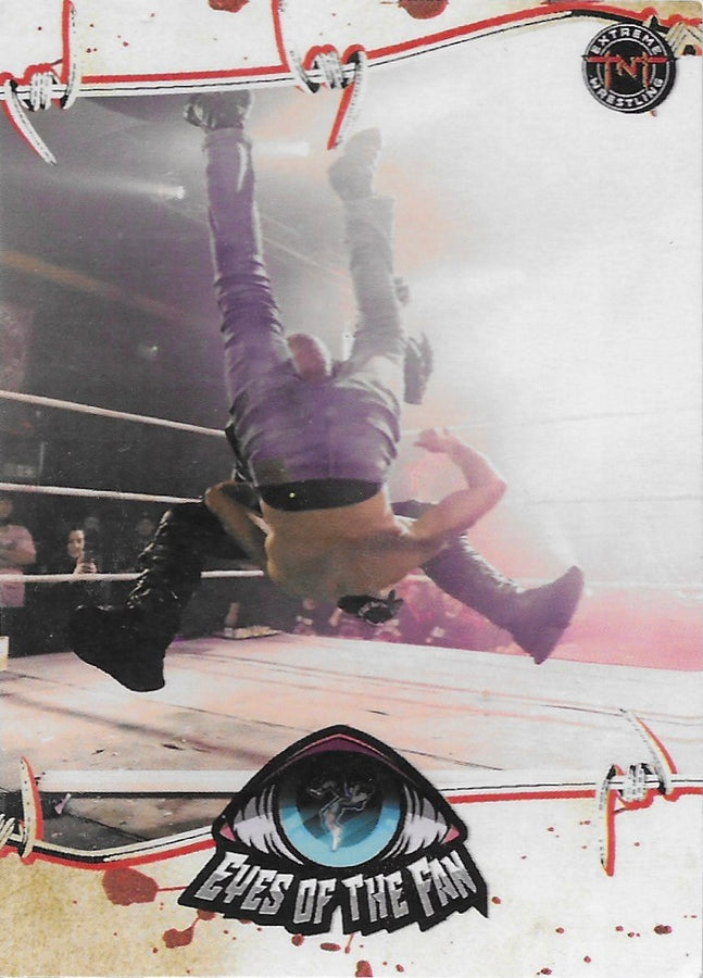 Eyes of the Fan trading card PW Catalog