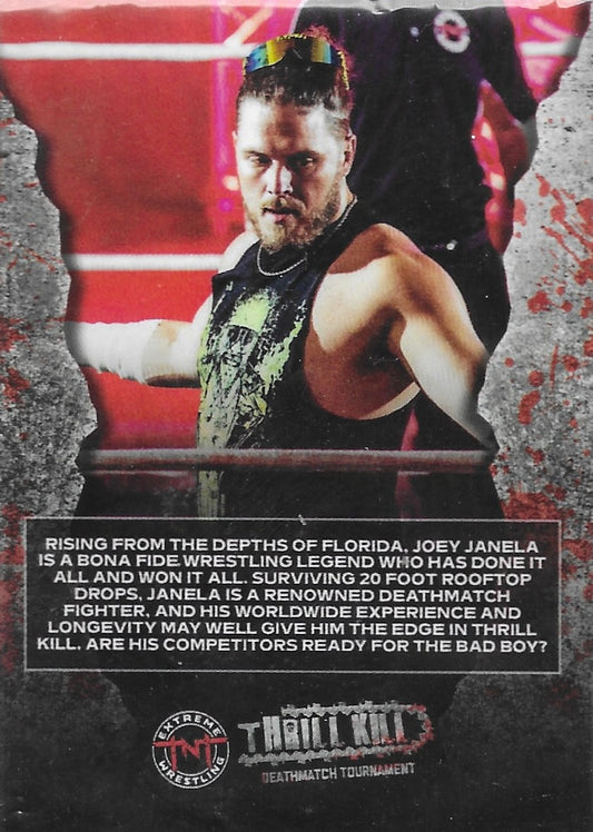 Joey Janela trading card PW Catalog