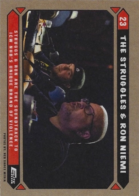 The Struggles & RON Niemi - image 2