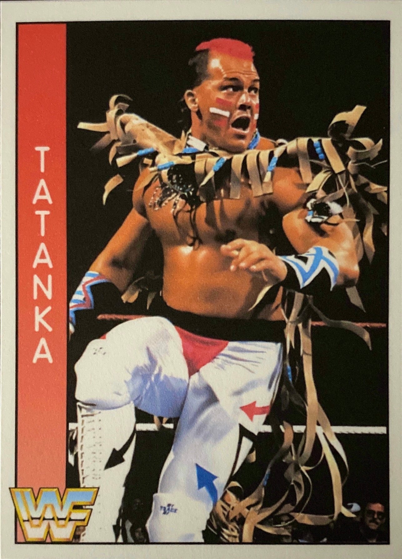 Tatanka