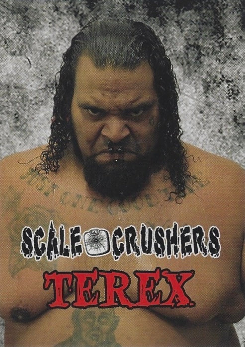 Scale Crushers – Terex
