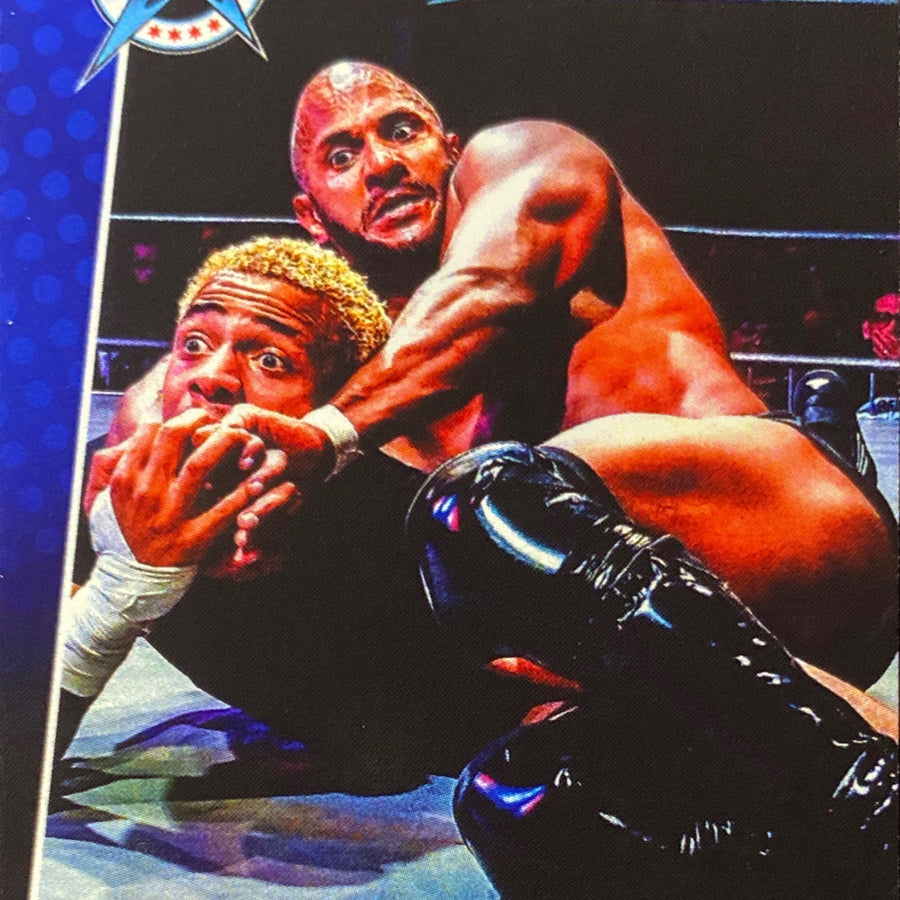 Hakim Zane trading card PW Catalog