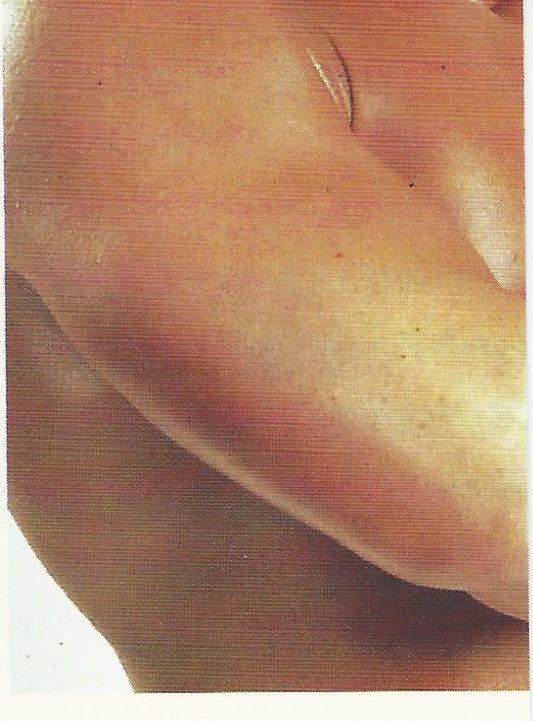 WCW Euroflash 1992 Sticker Marcus Bagwell #230