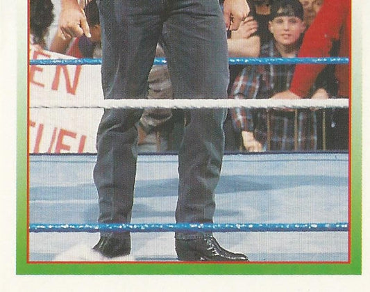 WWF Merlin Stickers 1995 Sid #230