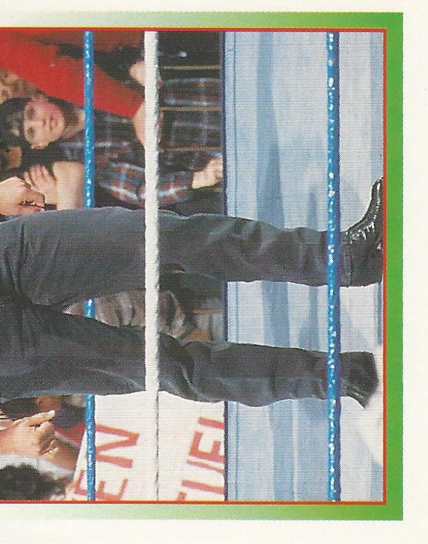WWF Merlin Stickers 1995 Sid #230