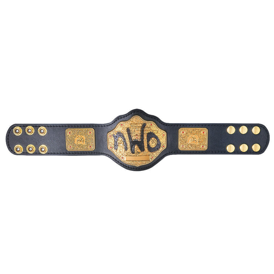 nWo Spray Paint WCW Championship Mini Replica Title 1