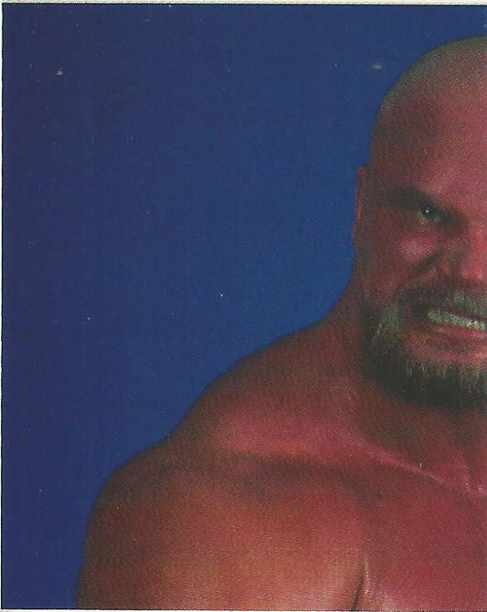 WWF Merlin Stickers 1991 Warlord #231