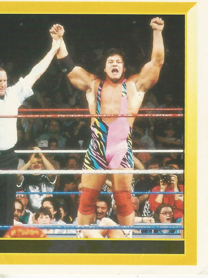 WWF Merlin Sticker 1994 Steiner Brothers #231