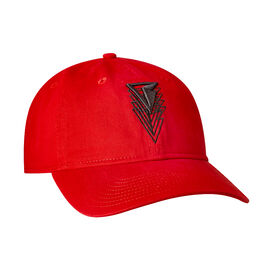 Finn Balor "BC4E" New Era 9TWENTY Adjustable Hat