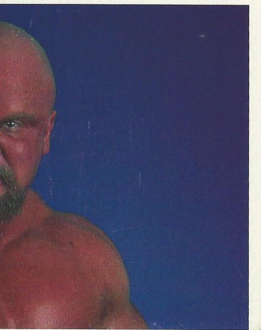 WWF Merlin Stickers 1991 Warlord #232