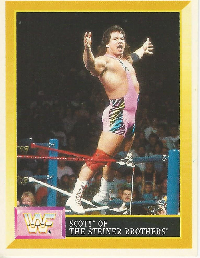 WWF Merlin Sticker 1994 Steiner Brothers #232