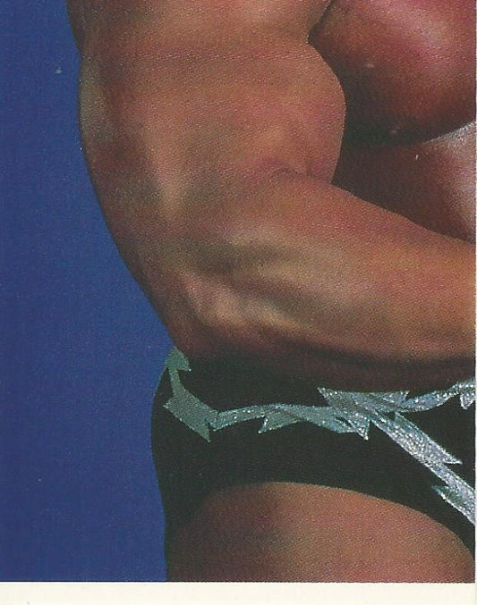 WWF Merlin Stickers 1991 Warlord #233