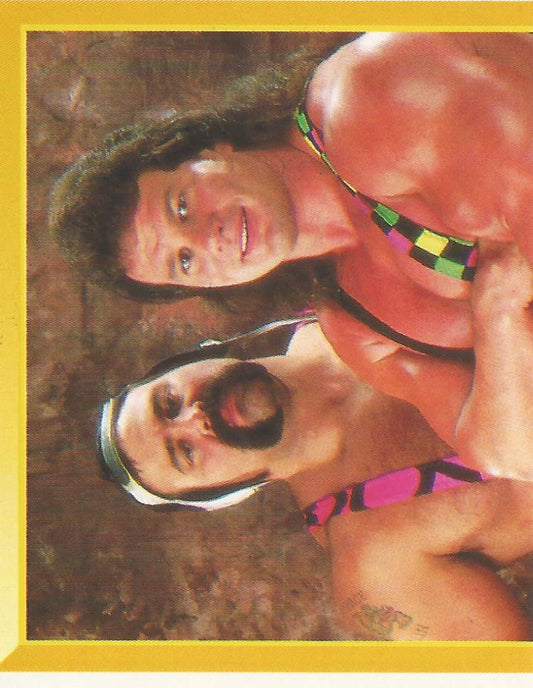 WWF Merlin Sticker 1994 Steiner Brothers #233