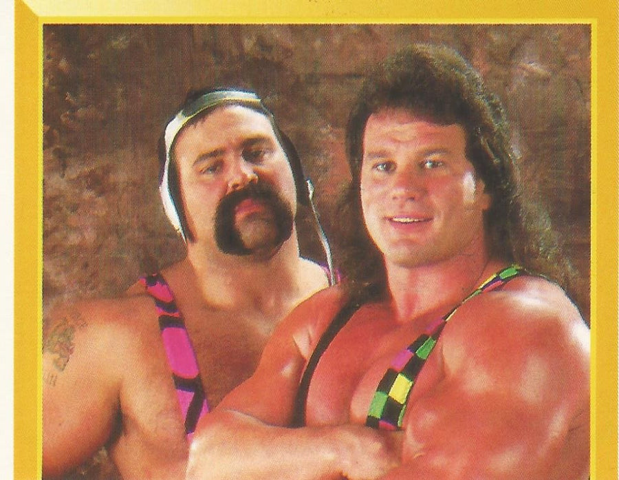 WWF Merlin Sticker 1994 Steiner Brothers #233