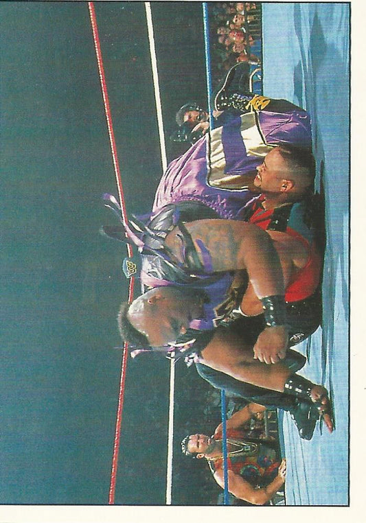 WWF Panini 1995 Sticker Collection Mabel #233