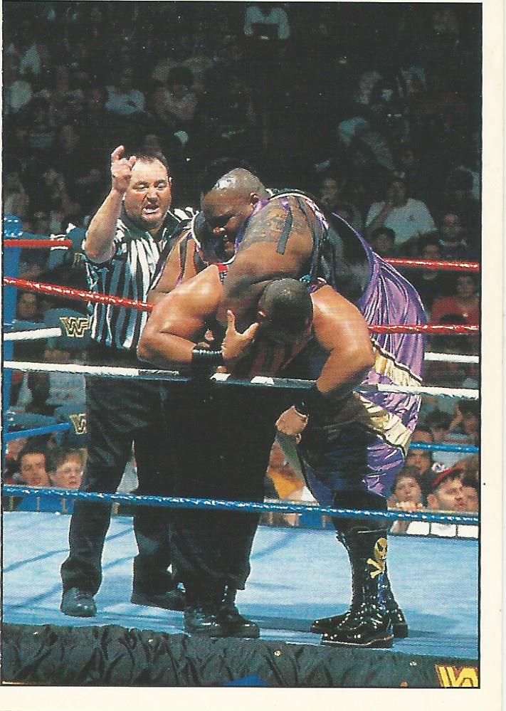 WWF Panini 1995 Sticker Collection Mabel #234