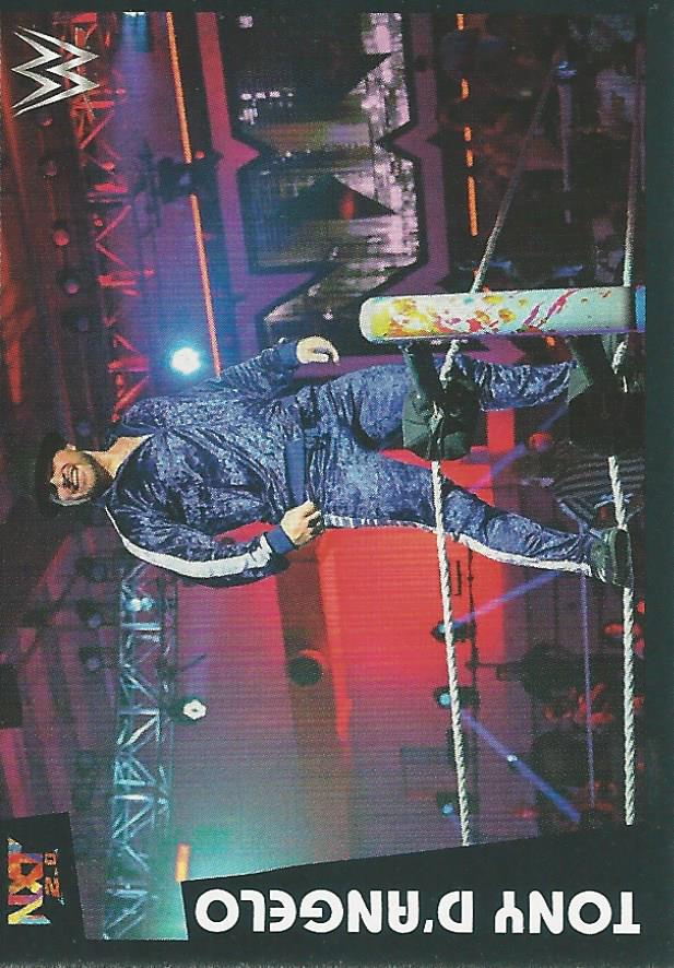 WWE Panini 2022 Sticker Collection Tony D'Angelo #234