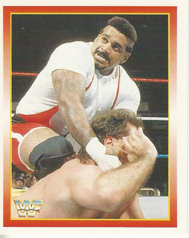WWF Merlin Stickers 1995 Kama #234