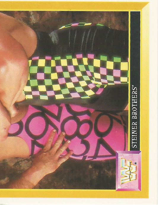 WWF Merlin Sticker 1994 Steiner Brothers #234
