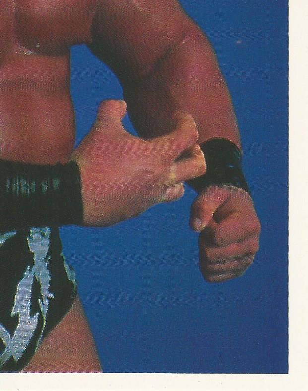 WWF Merlin Stickers 1991 Warlord #234