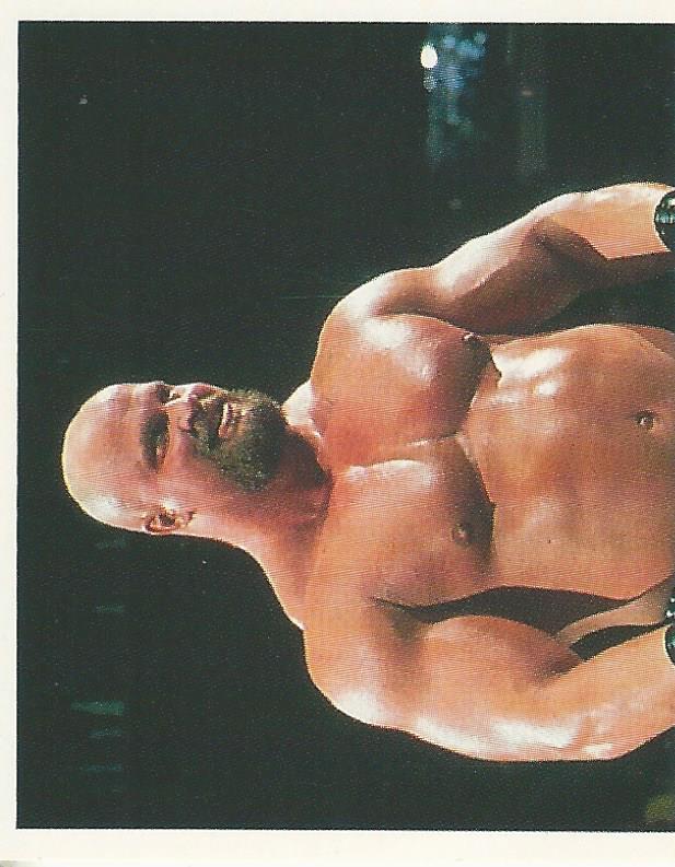 WWF Merlin Stickers 1991 Warlord #235