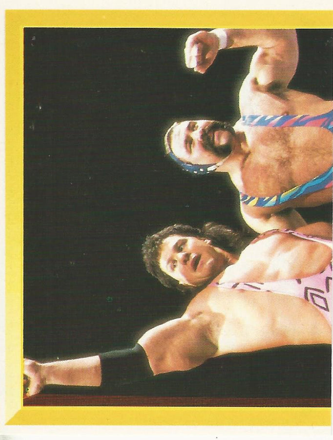 WWF Merlin Sticker 1994 Steiner Brothers #236