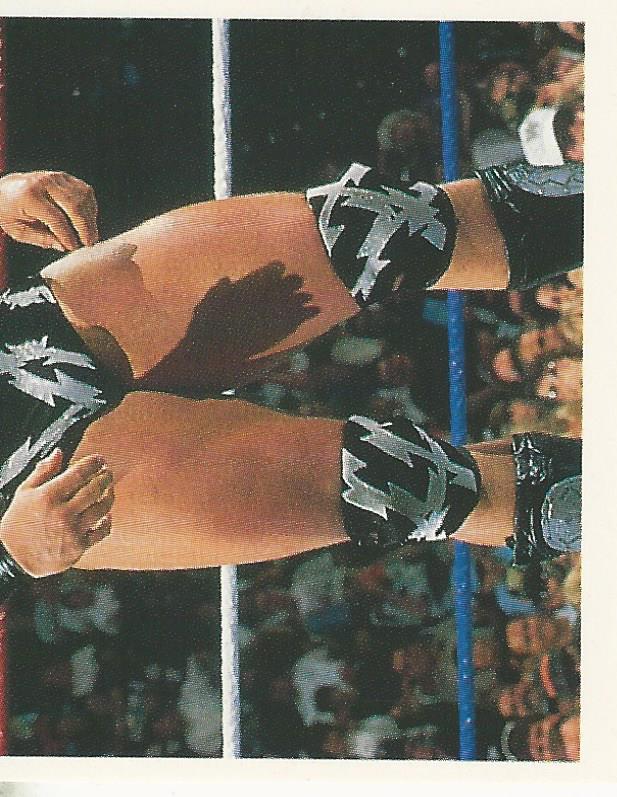 WWF Merlin Stickers 1991 Warlord #236