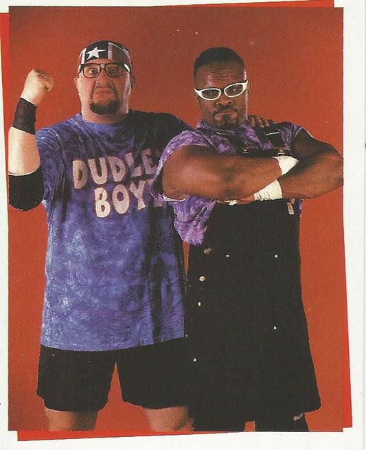 WWF Smackdown Stickers 2000 Dudley Boyz #238