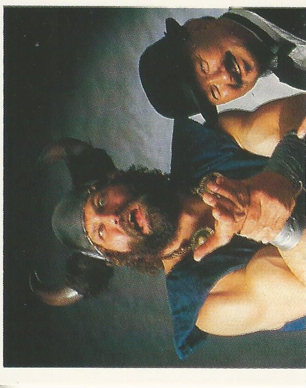 WWF Merlin Stickers 1991 Berzerker #239