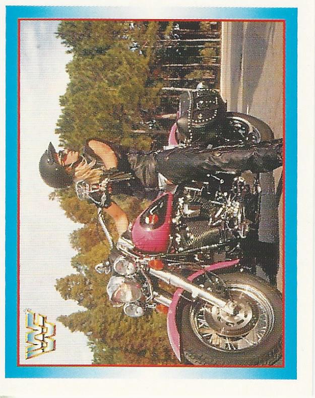 WWF Merlin Stickers 1995 Alundra Blayze #239