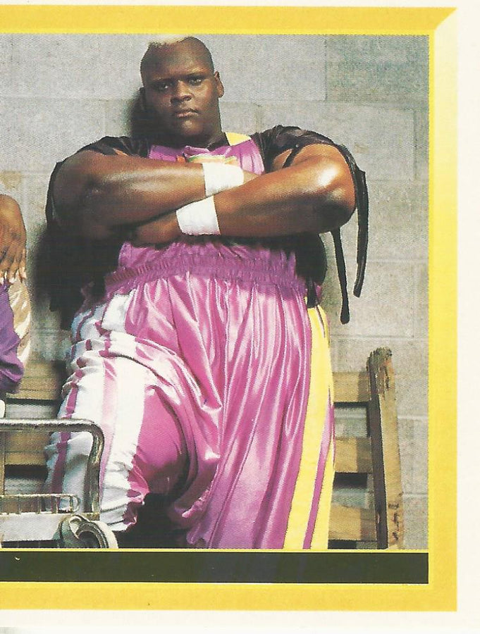WWF Merlin Sticker 1994 Men on a Mission #239