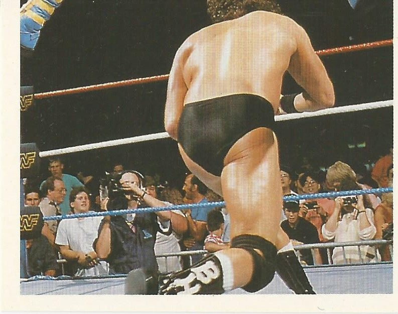 WWF Merlin Stickers 1992 Max Moon #23