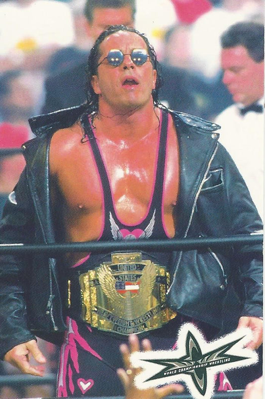WCW Crazy Planet Stickers 1999 Bret Hart trading card PW Catalog