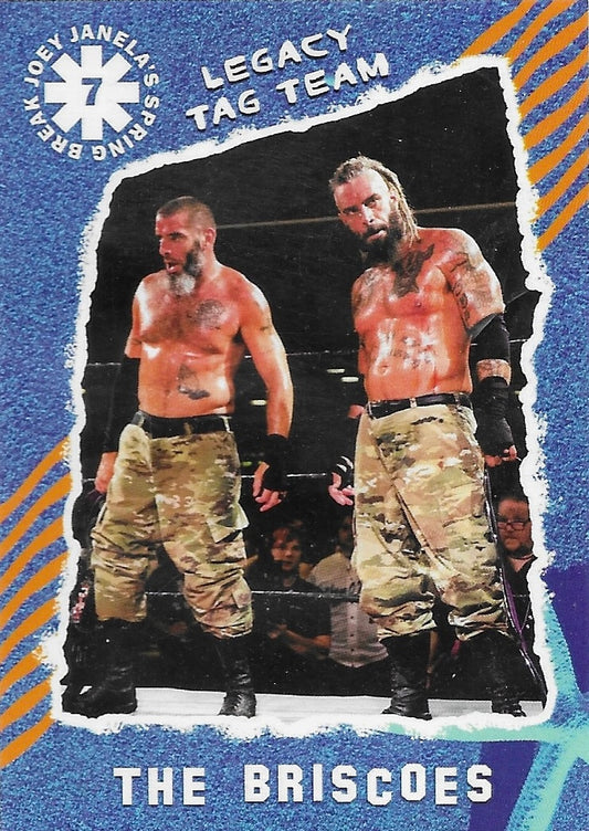 Legacy TAG Team – the Briscoes