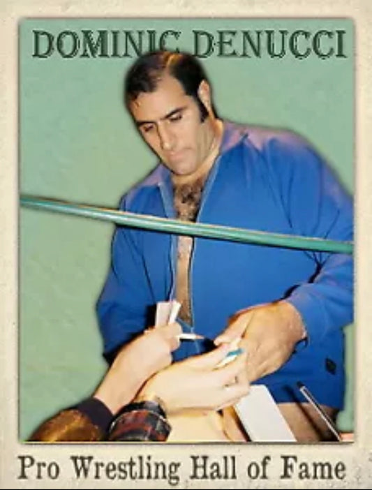 Dominic Denucci trading card PW Catalog