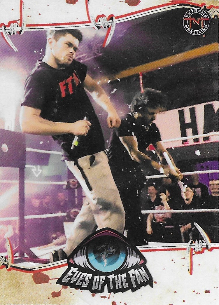 Eyes of the Fan trading card PW Catalog