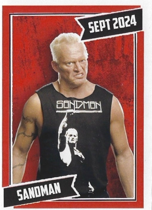 Sandman trading card PW Catalog