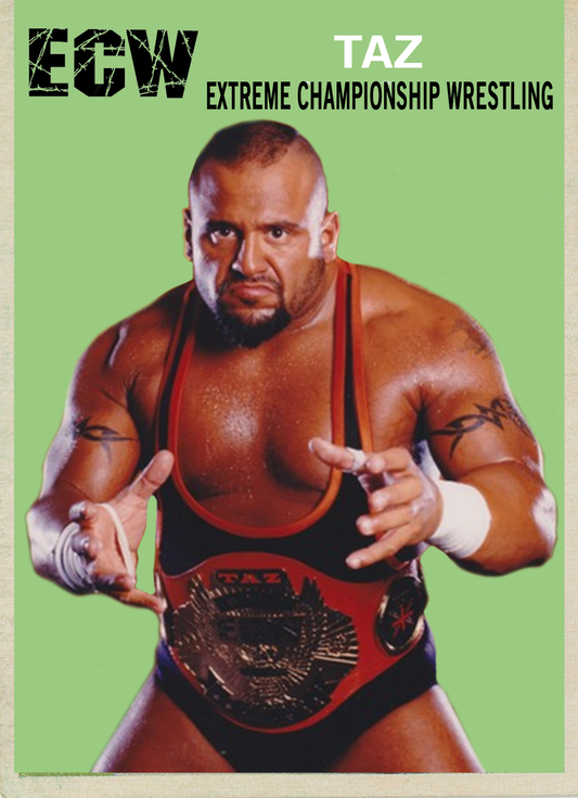 TAZ trading card PW Catalog