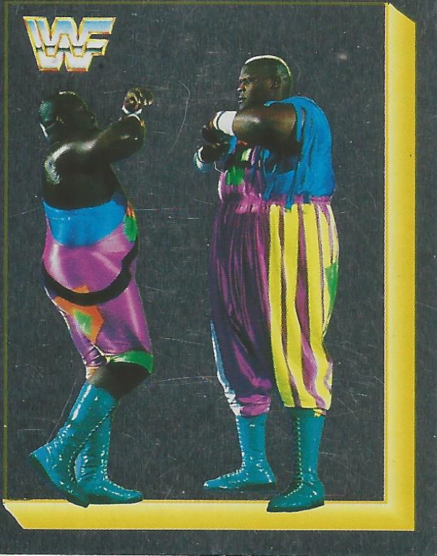 WWF Merlin Sticker 1994 Men on a Mission #240