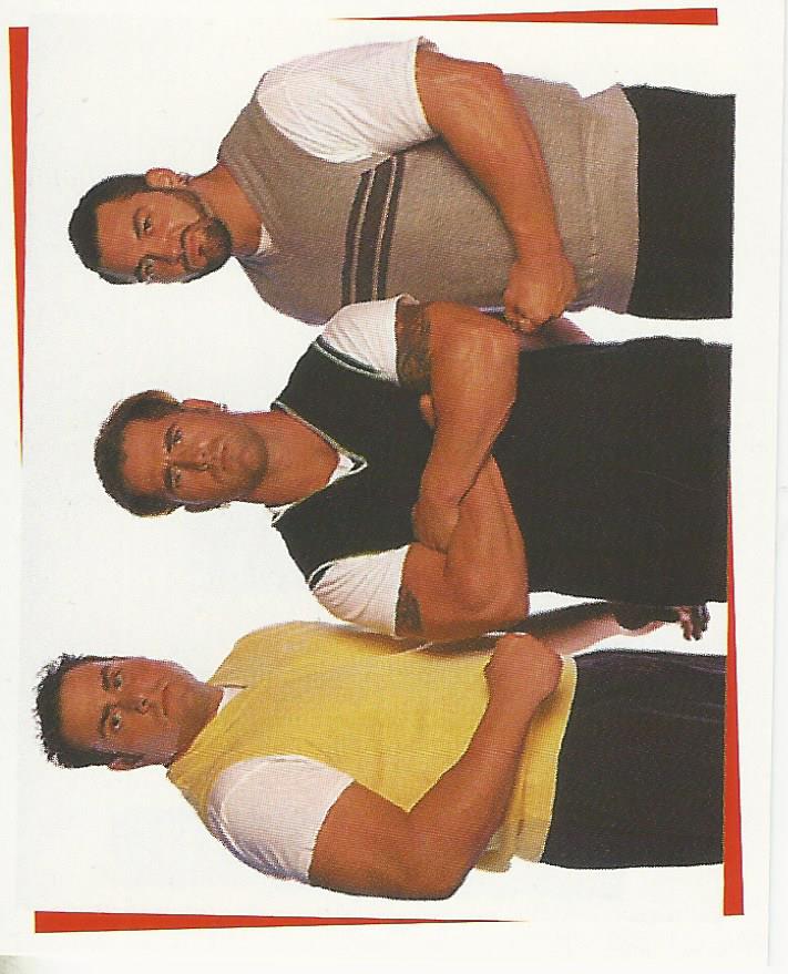 WWF Smackdown Stickers 2000 Mean Street Posse #241