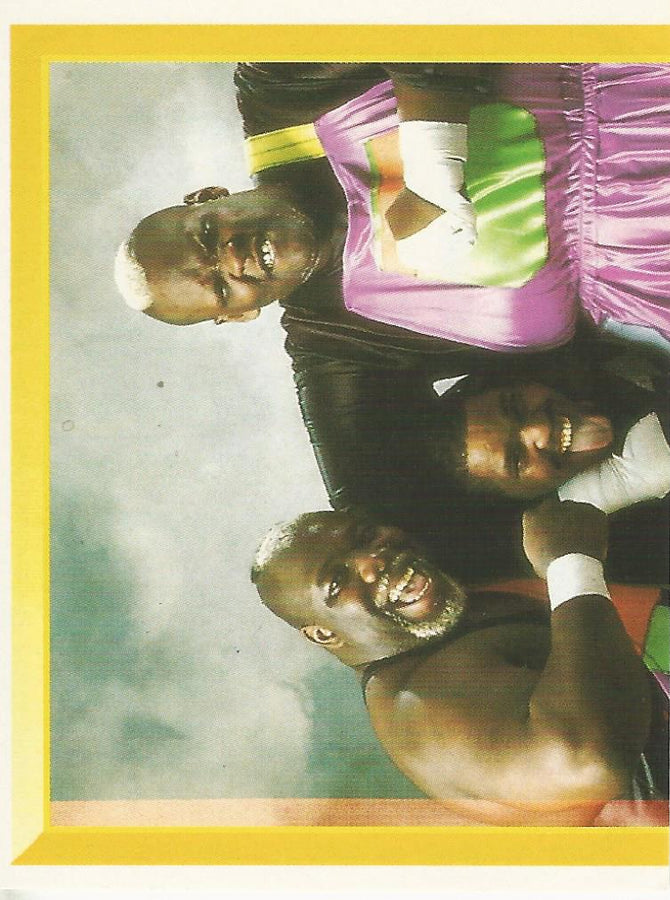 WWF Merlin Sticker 1994 Men on a Mission #242