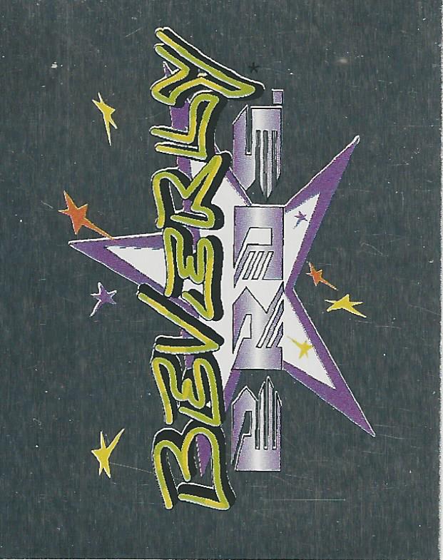 WWF Merlin Stickers 1991 Beverly Brothers #243