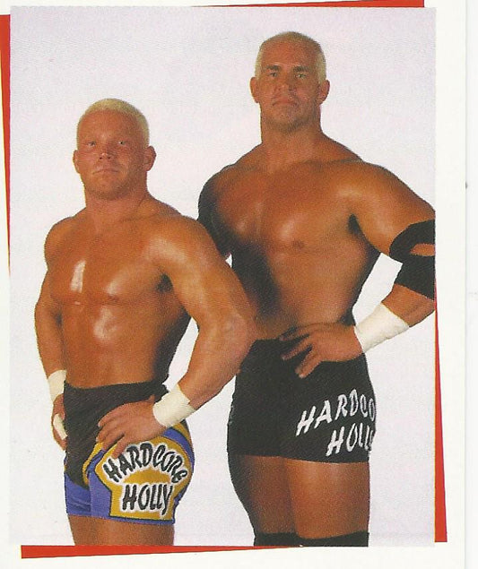 WWF Smackdown Stickers 2000 Hardcore and Crash Holly #244