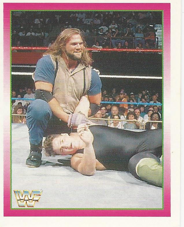 WWF Merlin Stickers 1995 Duke Drose #244