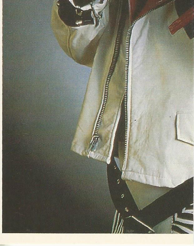 WWF Merlin Stickers 1992 Shawn Michaels #245