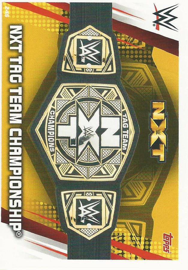 WWE Topps Slam Attax Universe 2019 #245